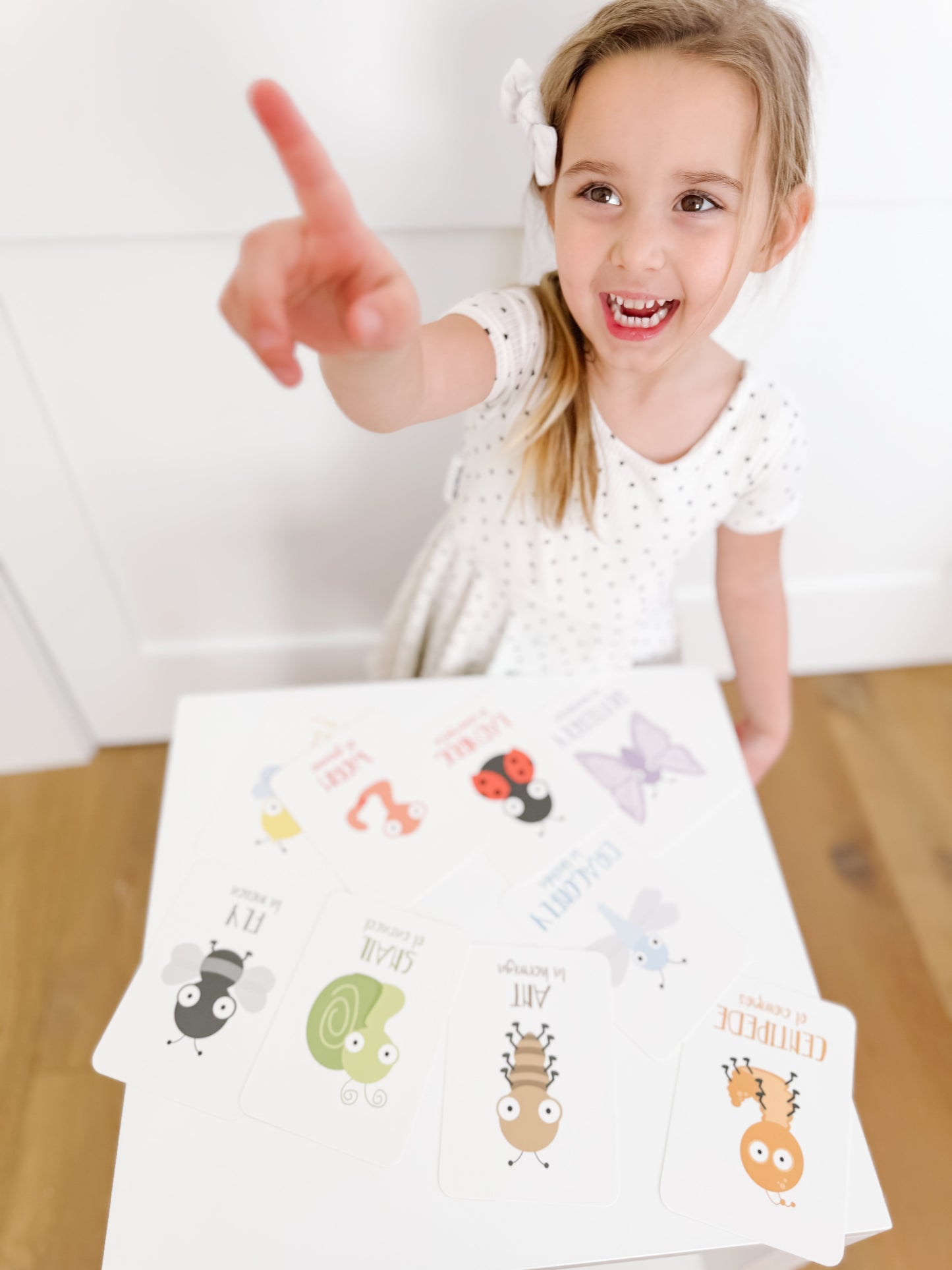 Bugs Flashcards