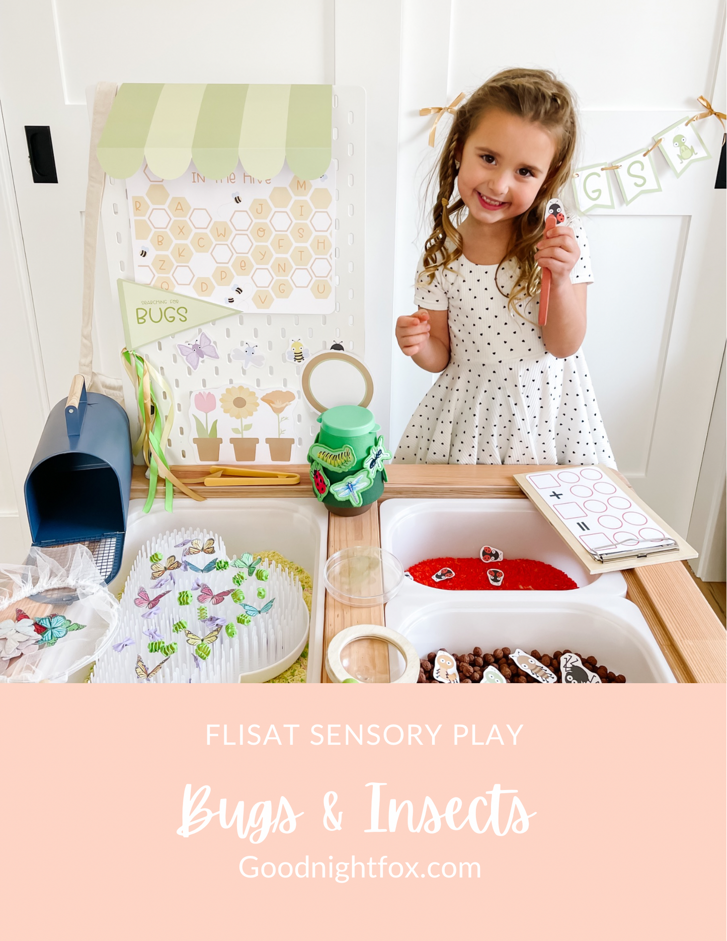 Bugs Printable Dramatic Play