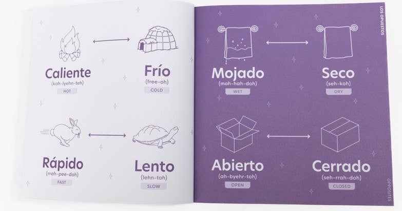 My First Spanish Words: A Bilingual Picture Dictionary