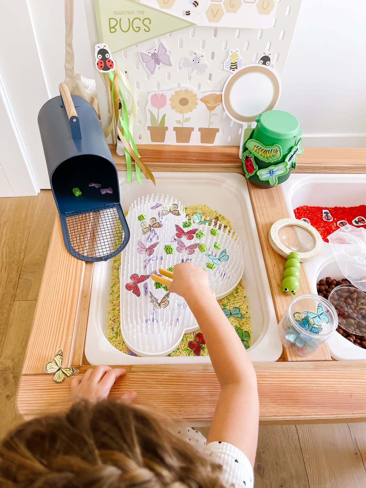 Bugs Printable Dramatic Play