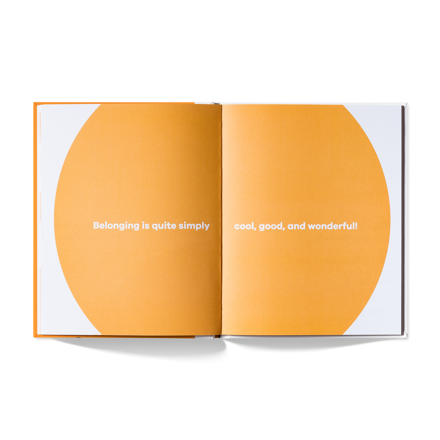 A Kids Book About Belonging