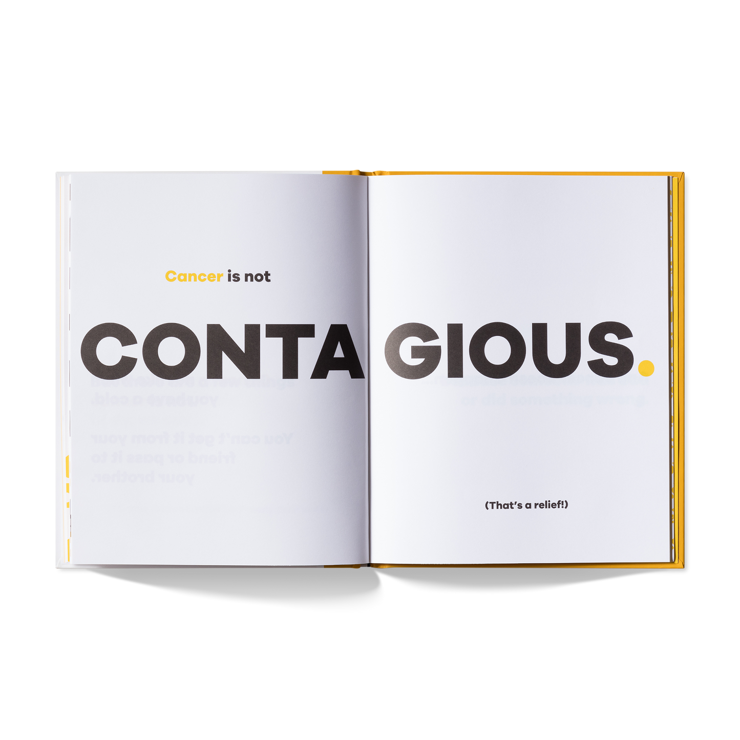 A Kids Book About Cancer