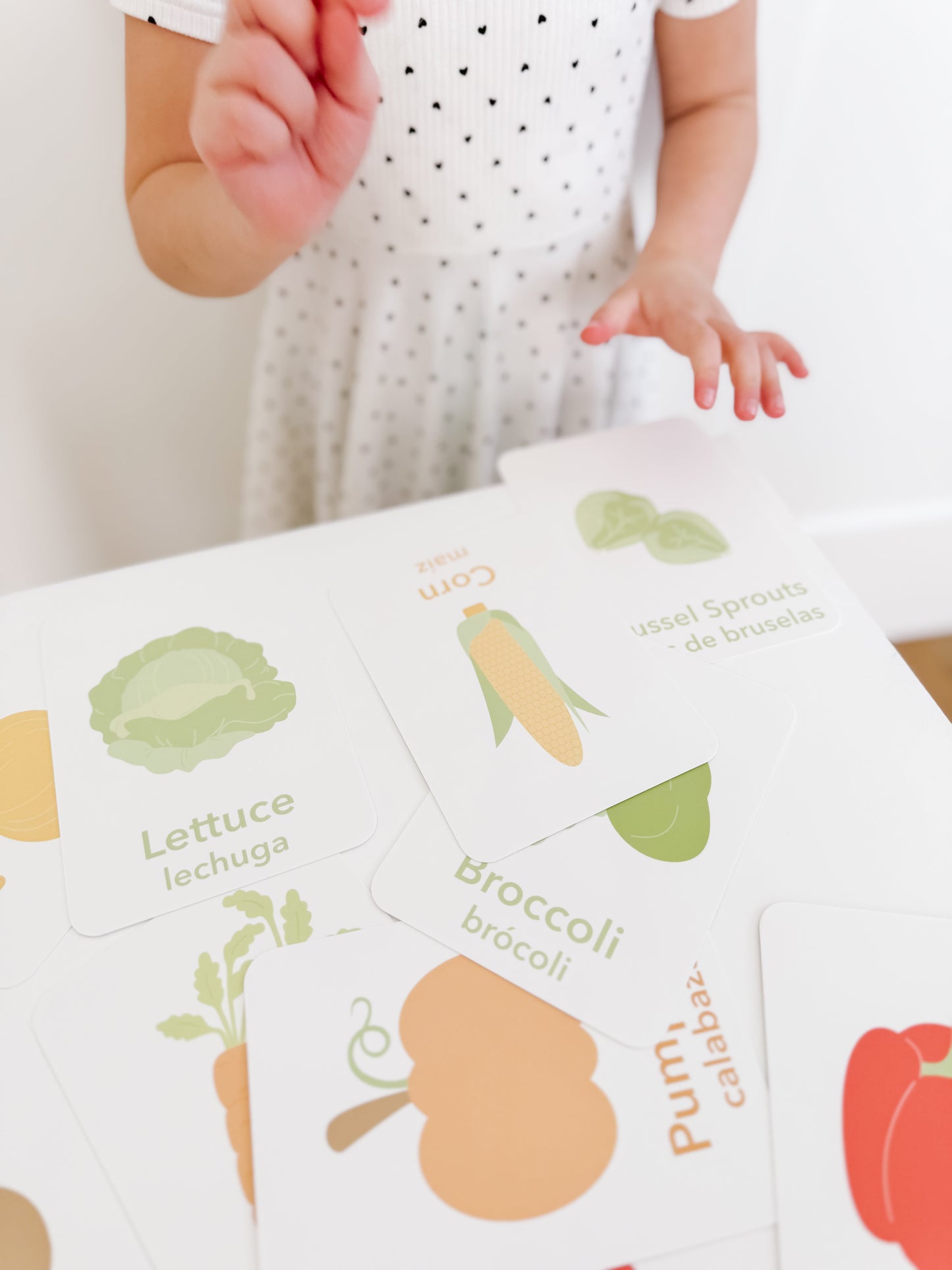 Vegetable Flashcards