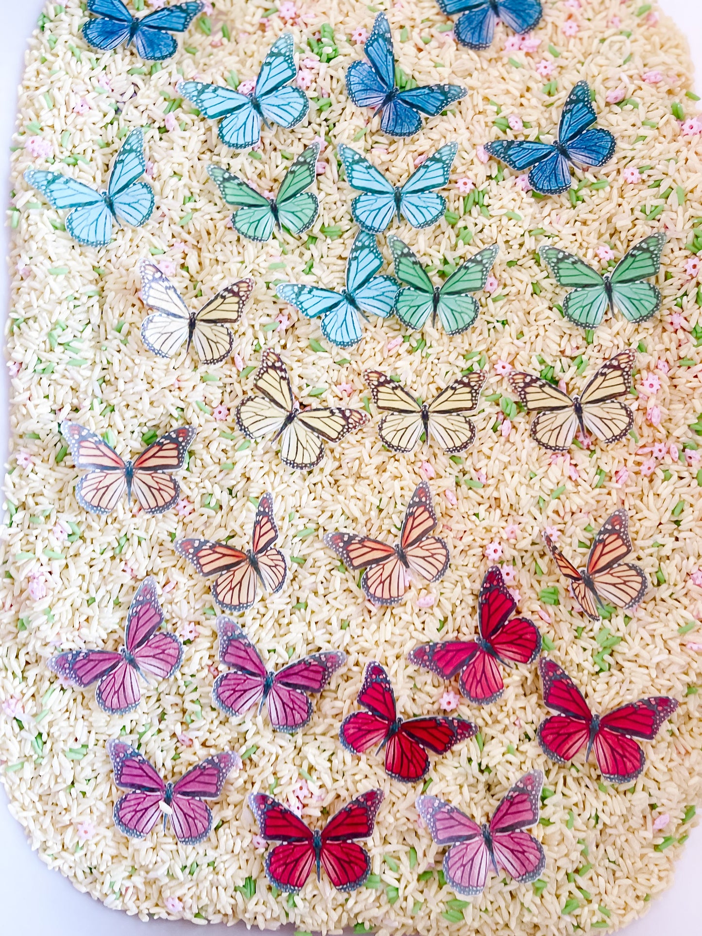 Bugs Printable Dramatic Play