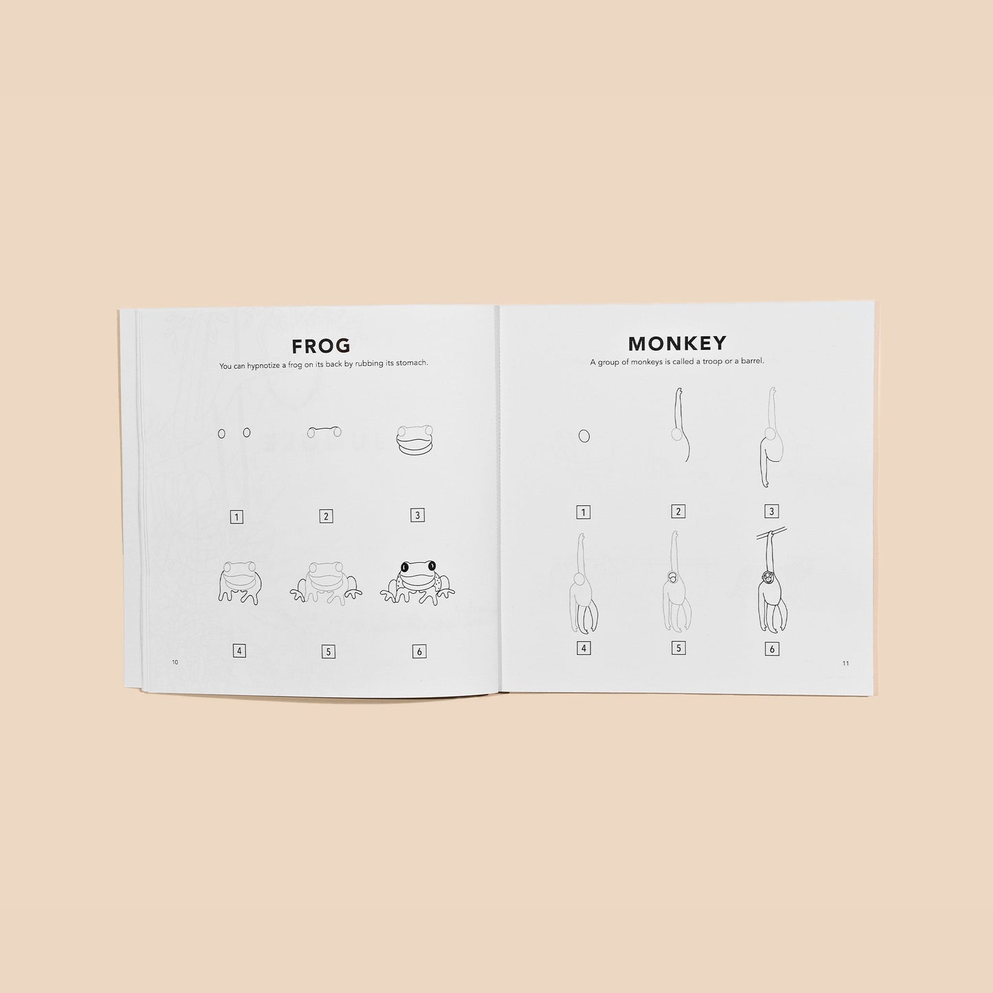 All the Animals: How to Draw Books for Kids