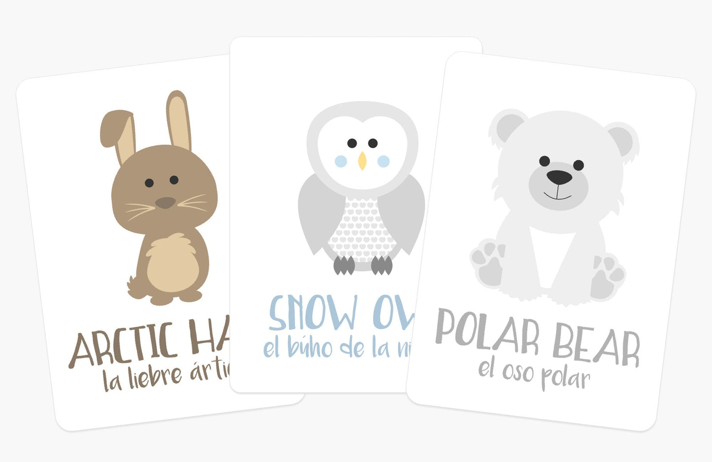 Arctic Animals Flashcards