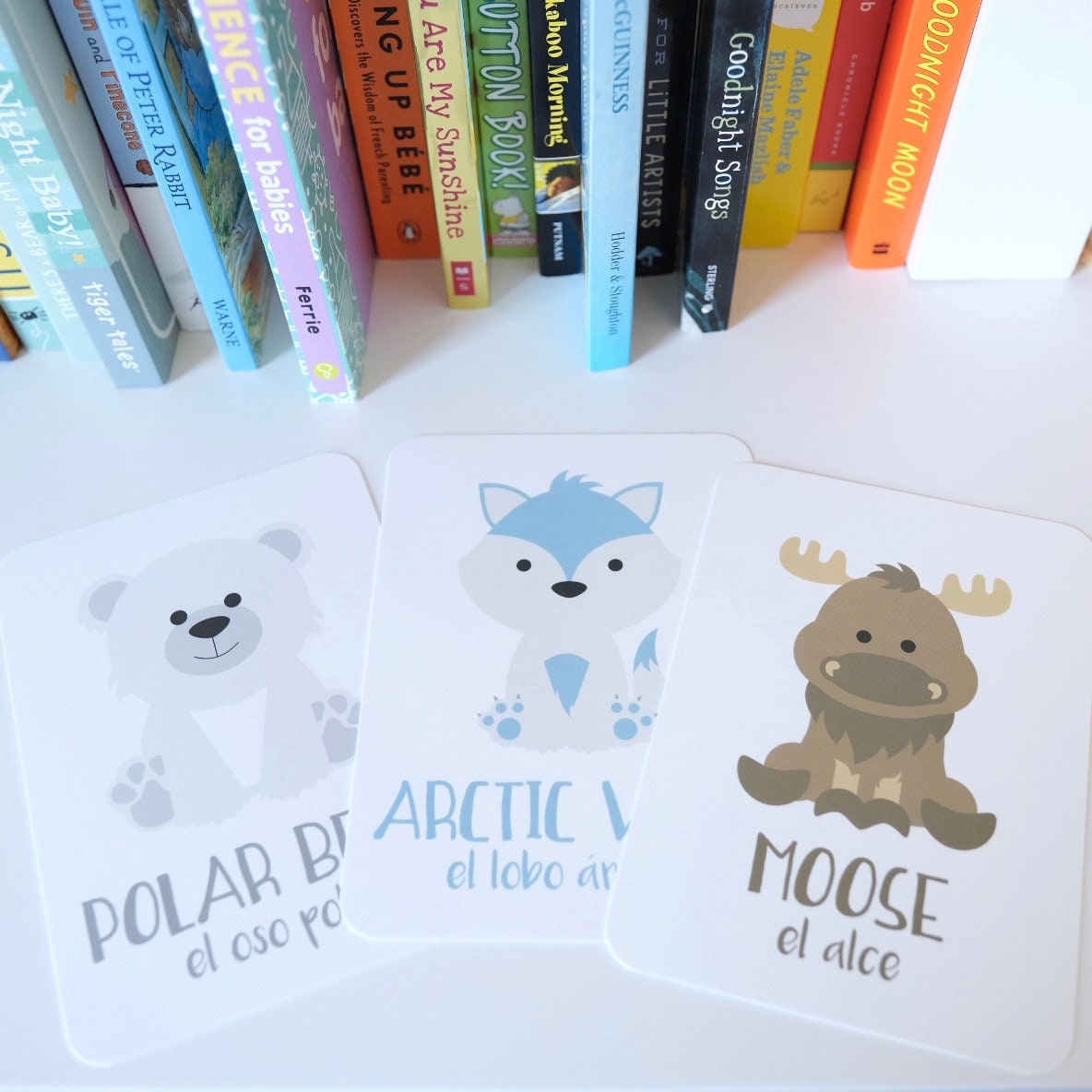 Arctic Animals Flashcards