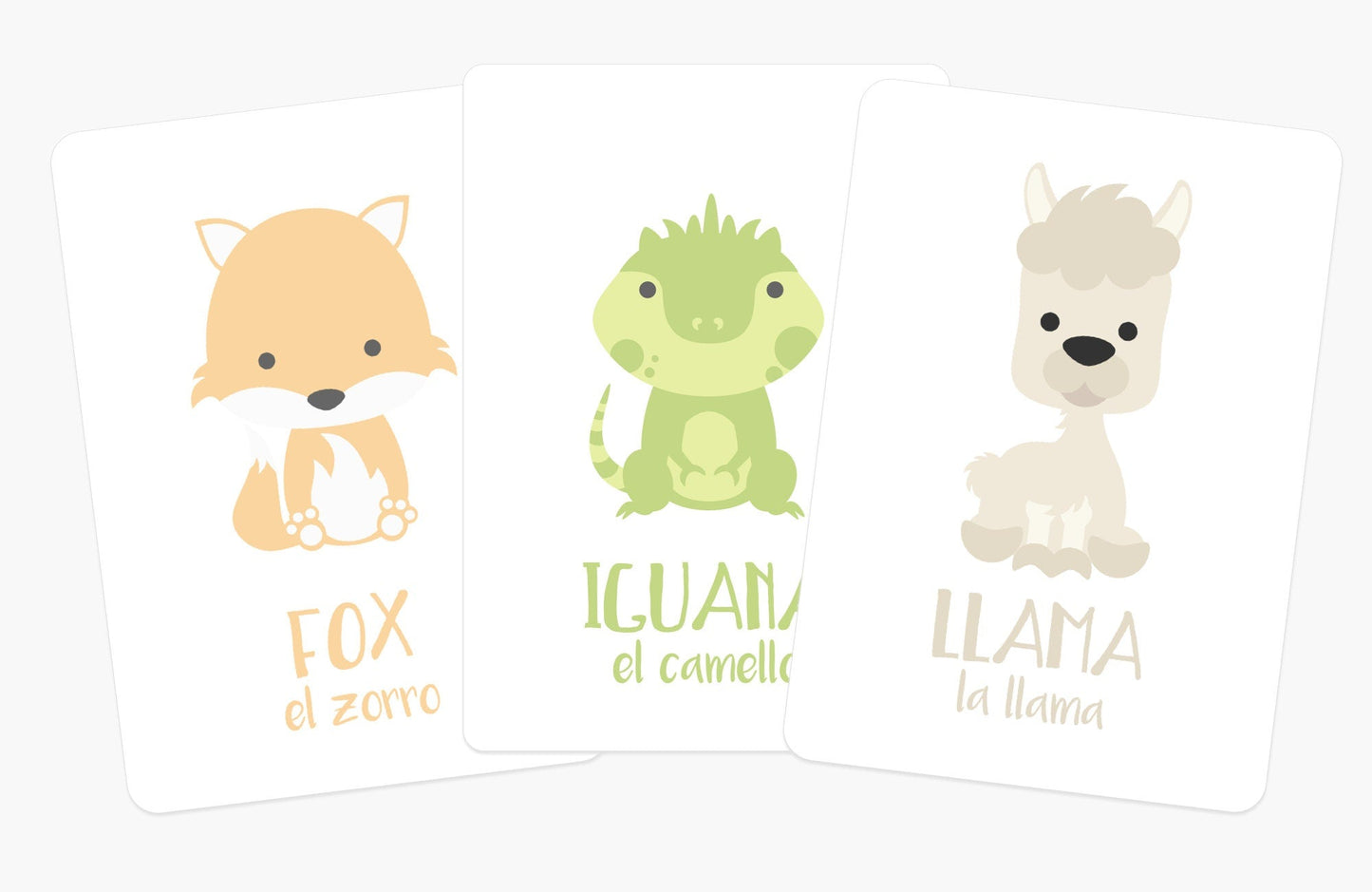 Desert Animal Flashcards
