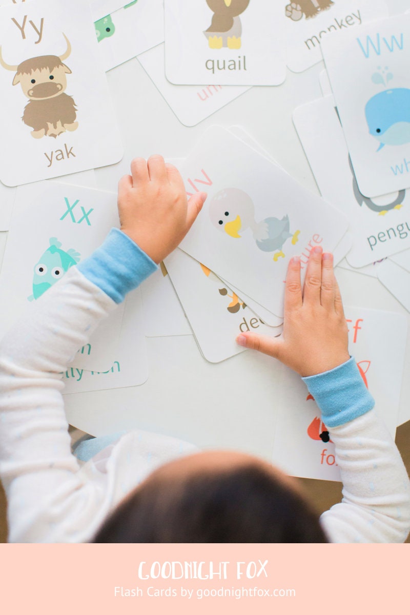 Household Flashcards