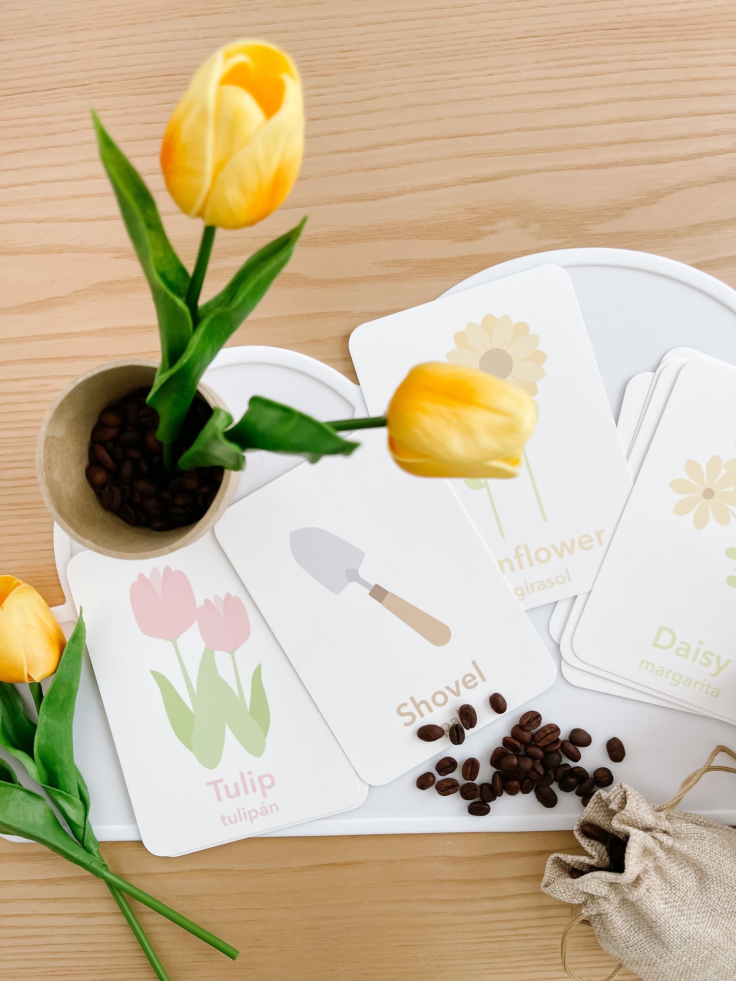 Flower Garden Flashcards