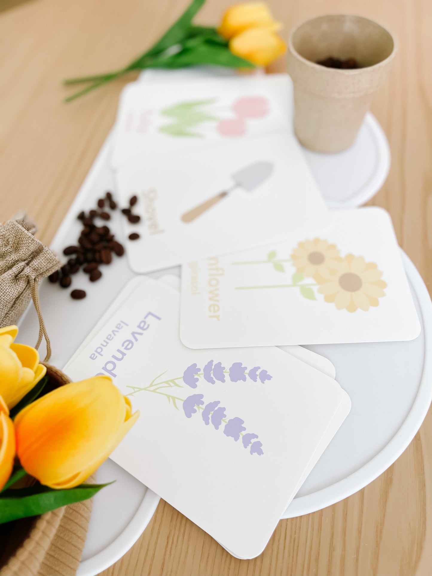 Flower Garden Flashcards