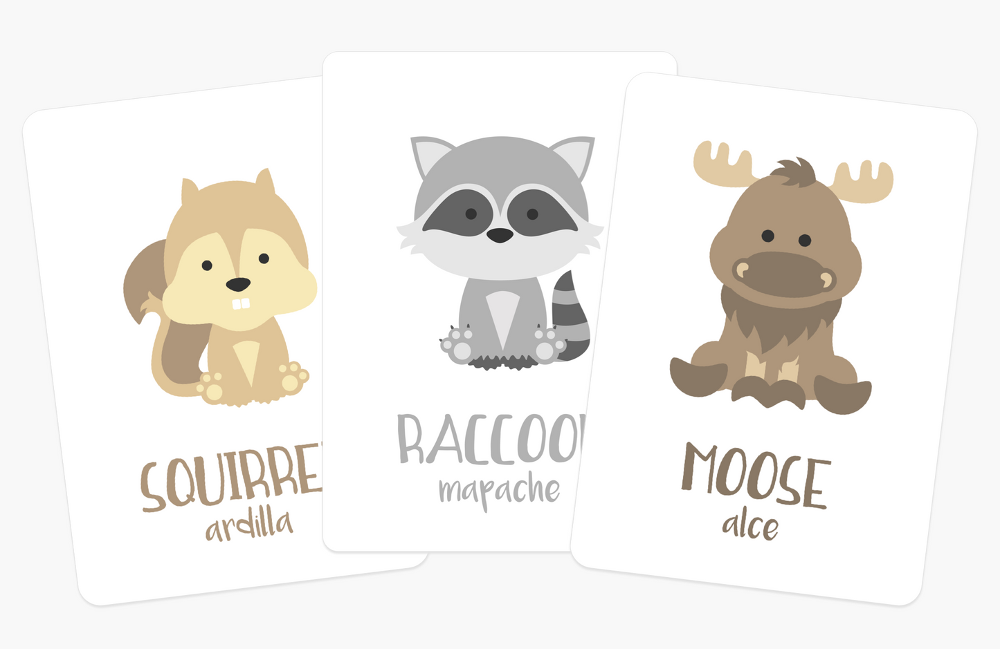 Woodland Animal Flashcards