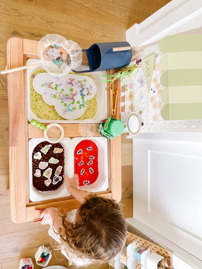 Bugs Printable Dramatic Play