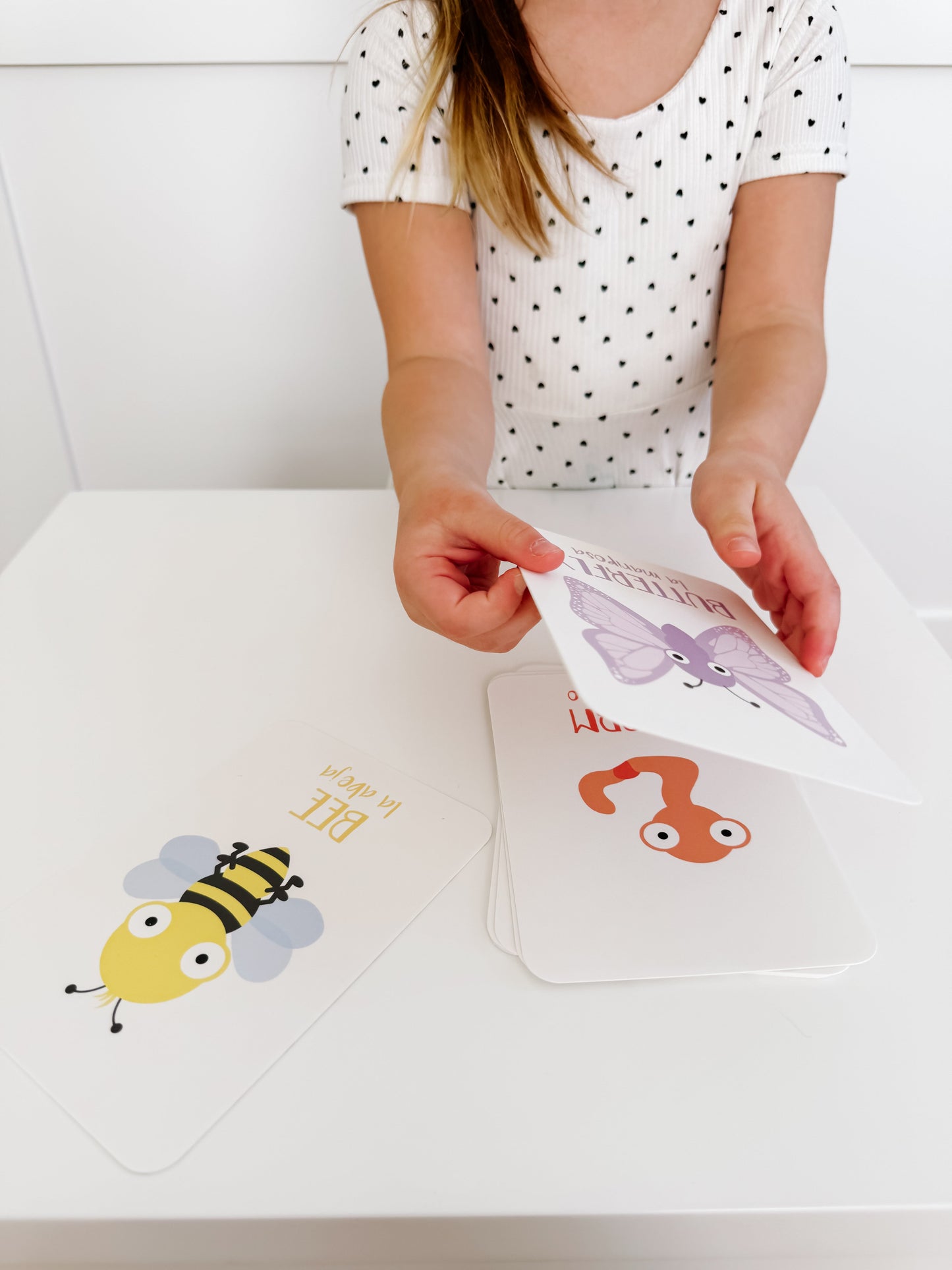 Bugs Flashcards