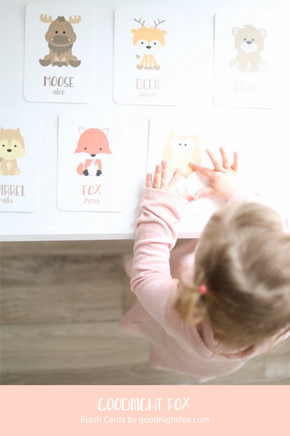 Woodland Animal Flashcards