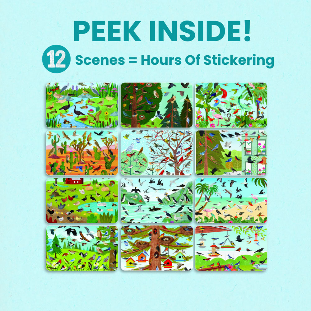 Birds Sticker Book