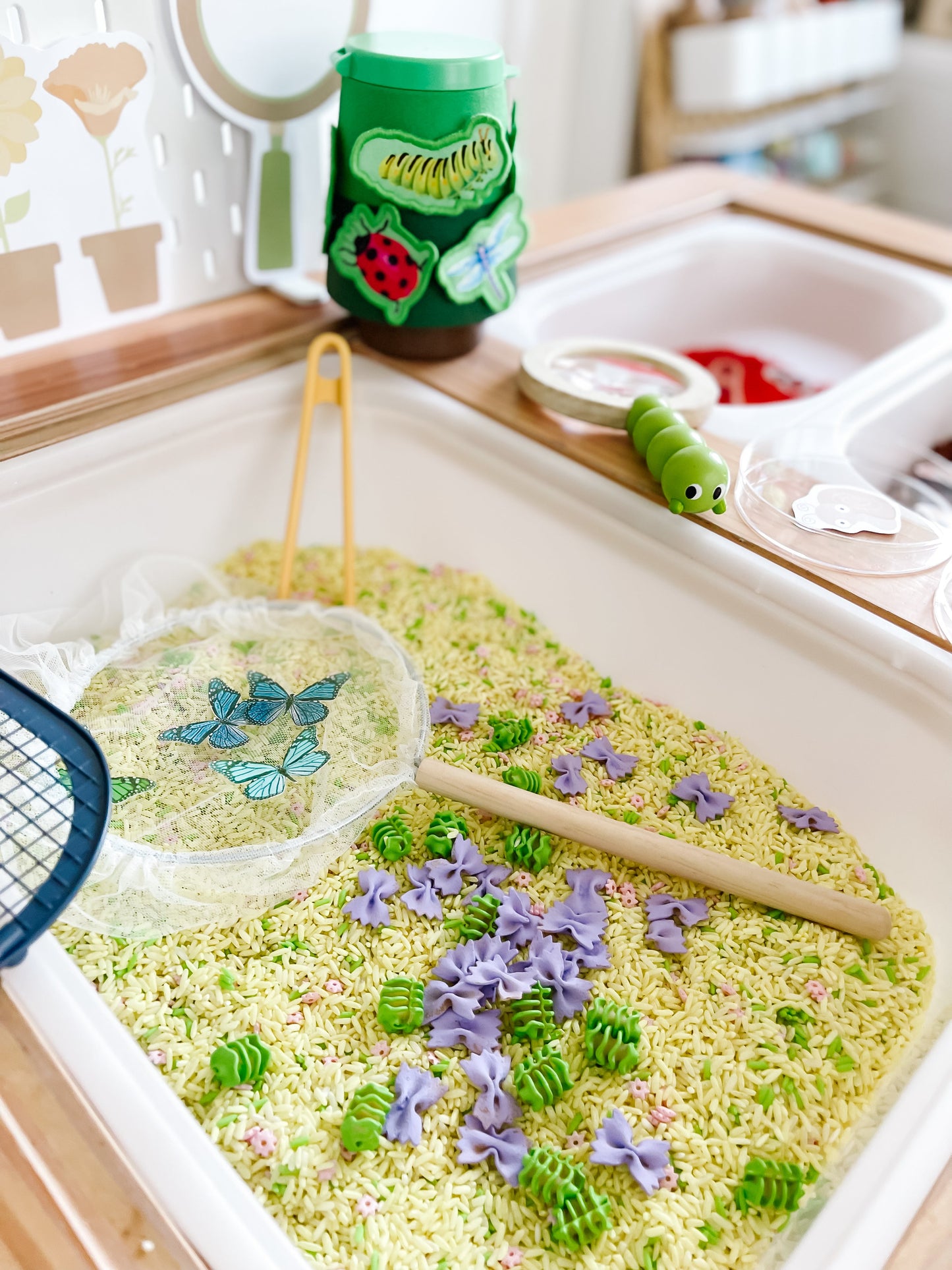 Bugs Printable Dramatic Play