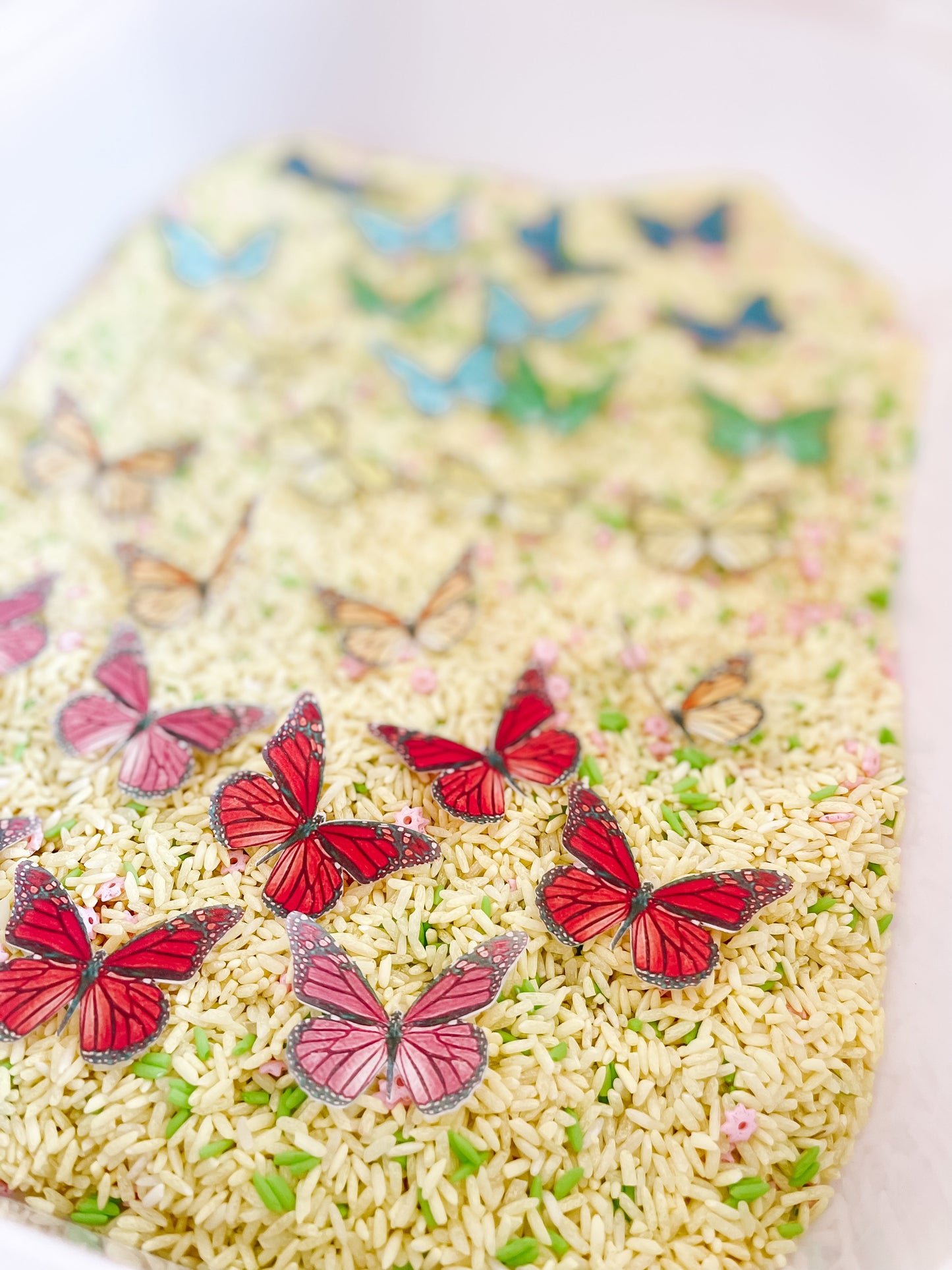 Bugs Printable Dramatic Play