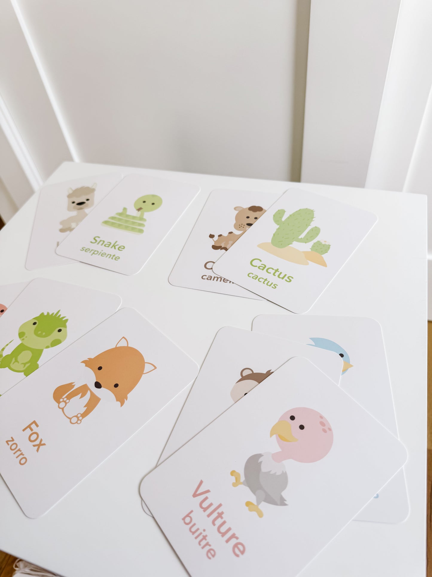 Desert Animal Flashcards