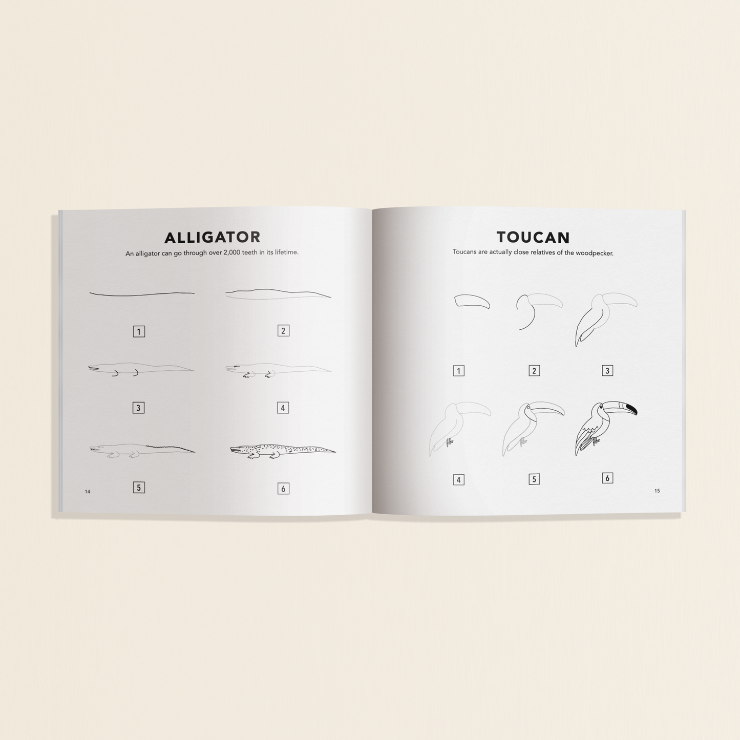 All the Animals: How to Draw Books for Kids [Mini]