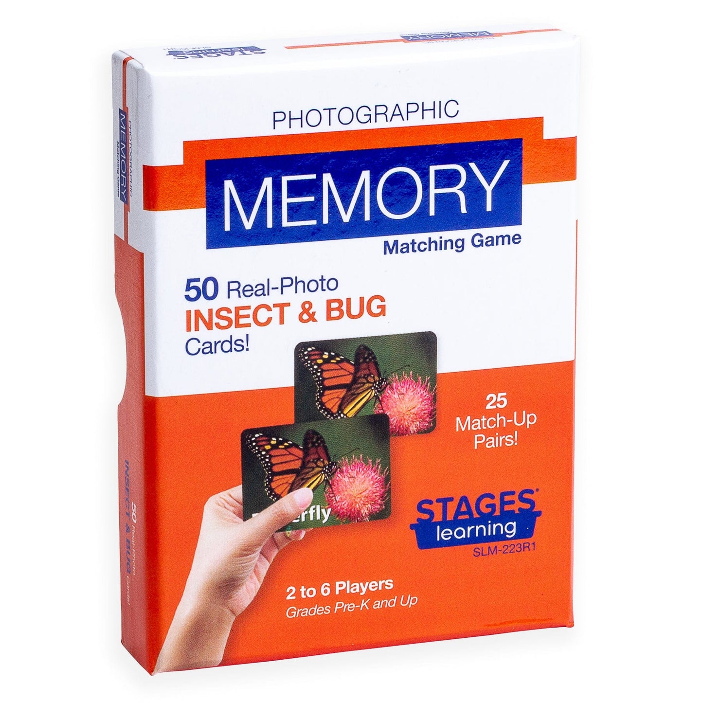 Insects & Bugs Memory Game