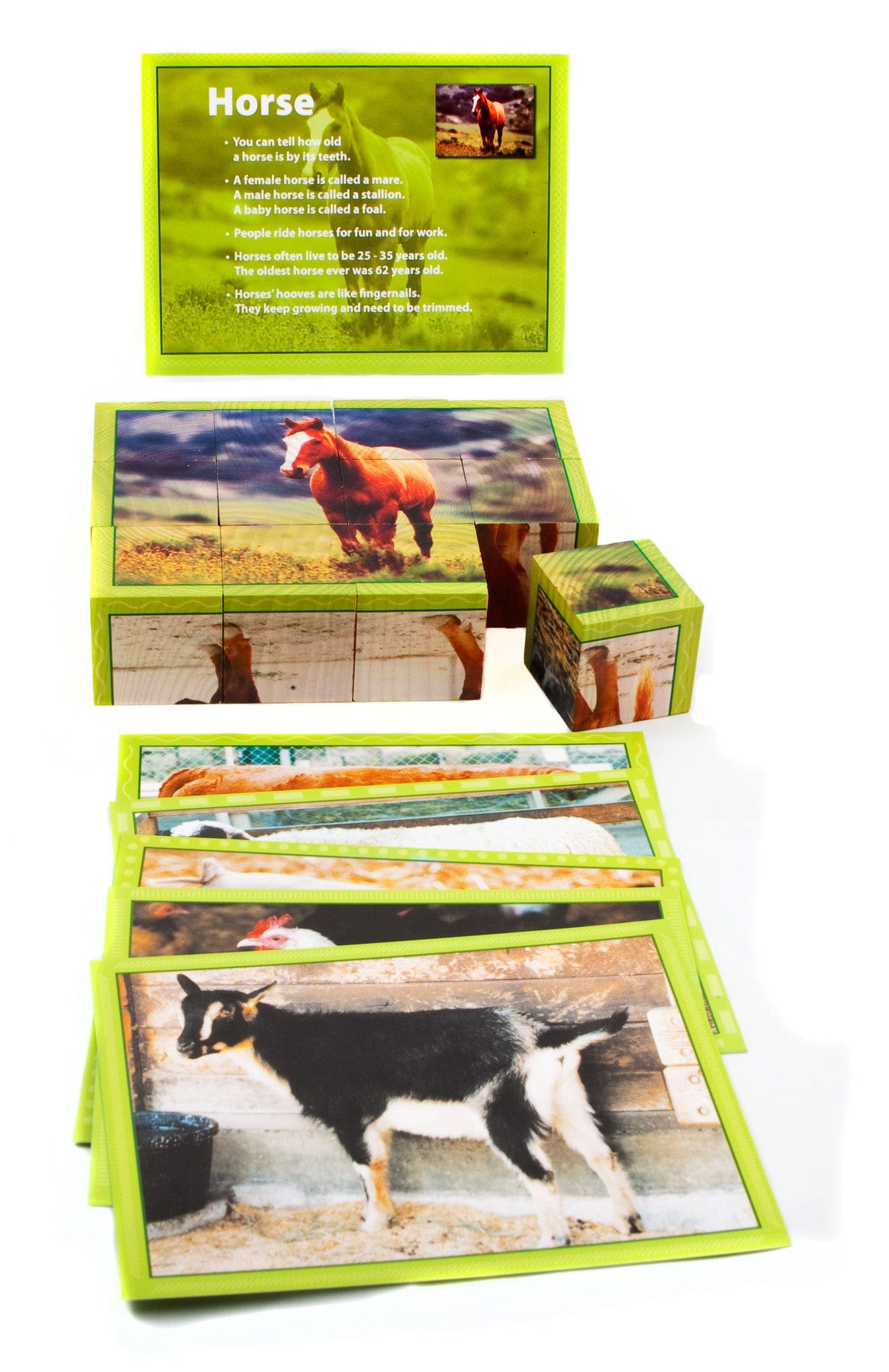 Farm Animal Puzzle