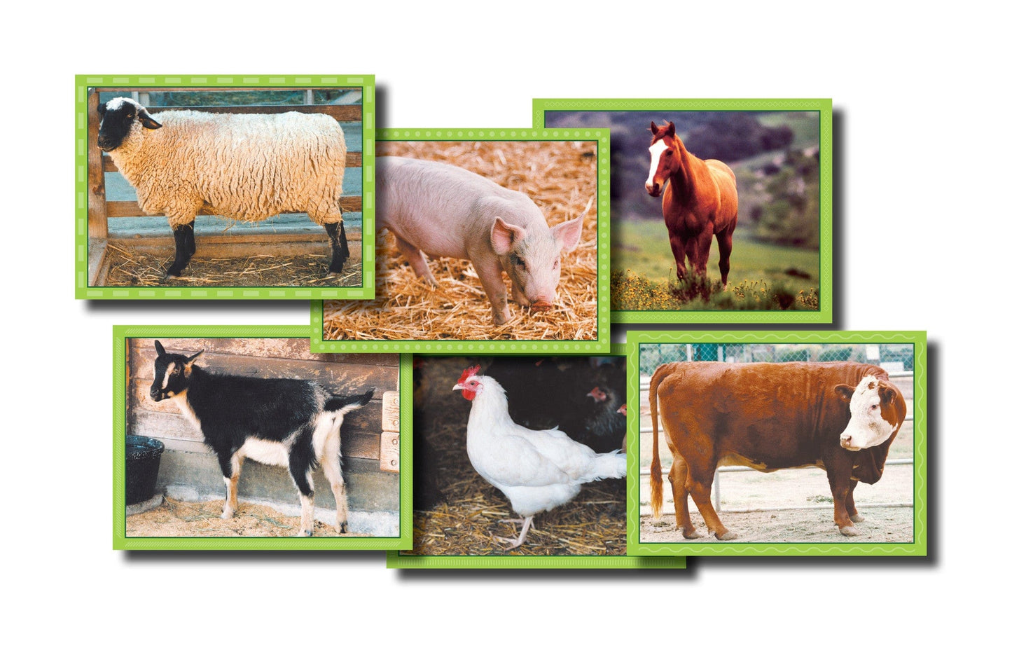 Farm Animal Puzzle
