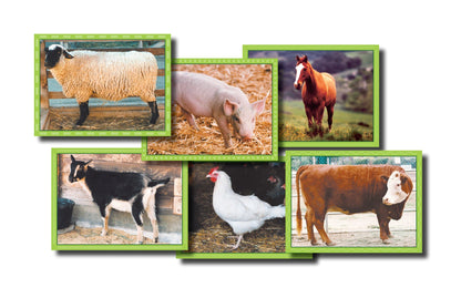 Farm Animal Puzzle