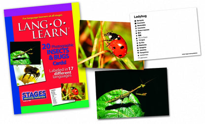 Insects & Bugs Theme Kit