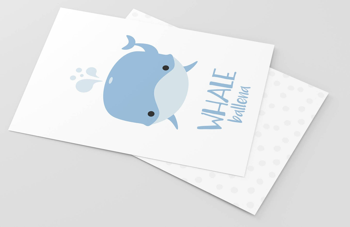 Sea Animals Flashcards