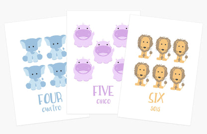 Counting Flashcards Animals