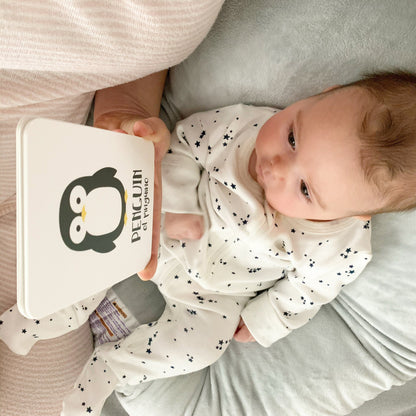 Arctic Animals Flashcards