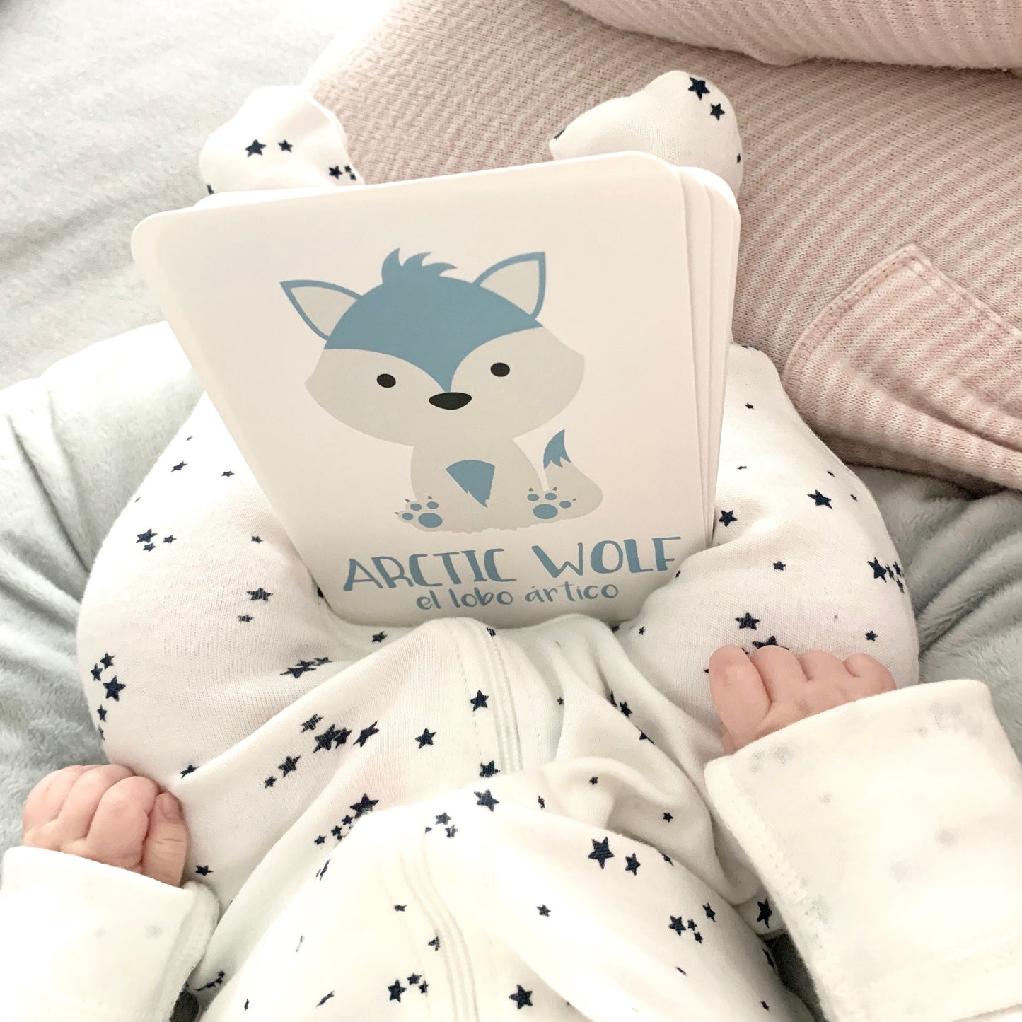 Arctic Animals Flashcards