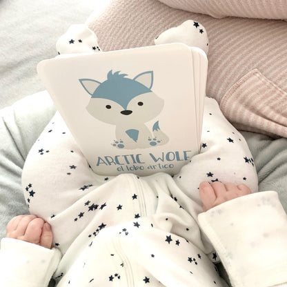 Arctic Animals Flashcards