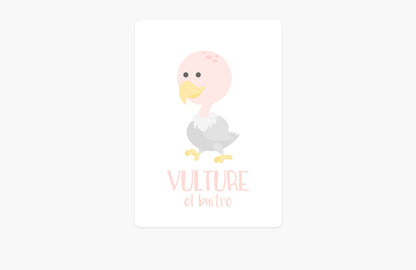 Desert Animal Flashcards